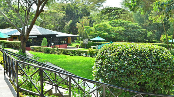 Hoteles Ofertas Dynamic Tours